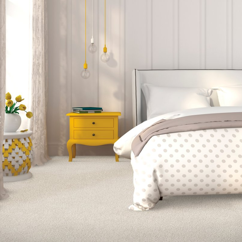 Accent On Floors providing easy stain-resistant pet friendly carpet in Hopewell, VA  - Coastal Fashion III -Bliss